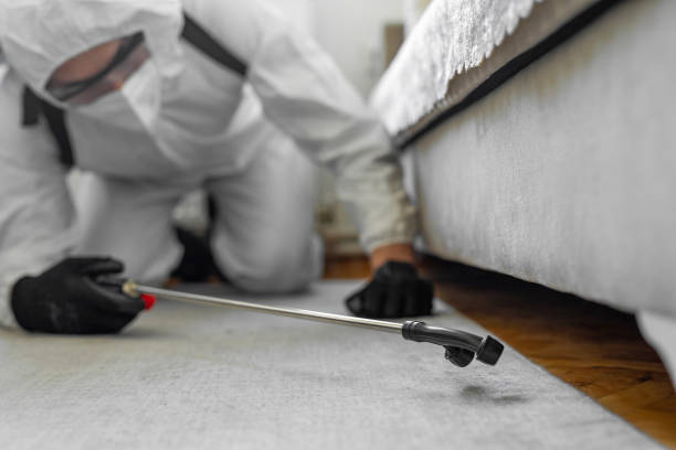 Professional Bed Bug Control technician working in Highland Park, NJ