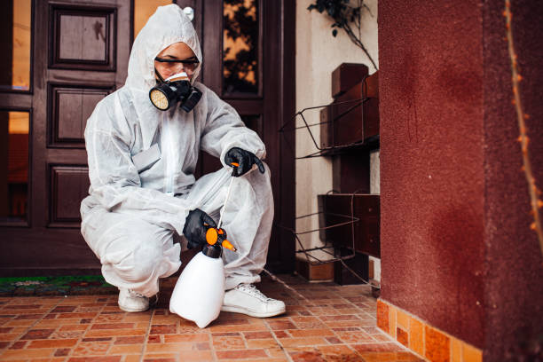 Reliable Bed Bug Control contractor in Highland Park, NJ by Nex Pest Control