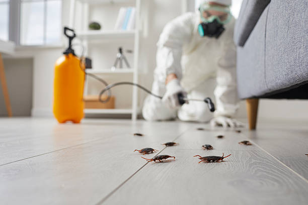 Trusted Emergency Pest Control service in Highland Park, NJ - Nex Pest Control
