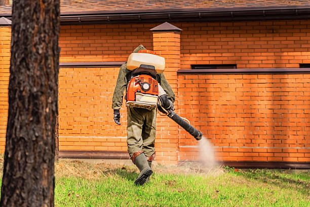 Trusted Fumigation Services service in Highland Park, NJ - Nex Pest Control